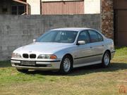 bmw523