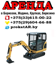 Аренда (услуги) мини-экскаватора в Борисове,  Жодино,  Крупках,  Березино