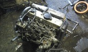 Покупка аварийного авто для разбора. Поддержанный,  неисправный,  гнилой и т.п. На запчасти в Могилеве. Минск