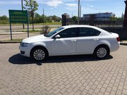 Прокат авто Шкода Октавия