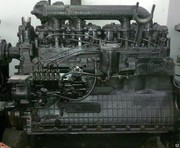 Продажа/Ремонт  Д-240,  Д-243,  Д-245,  Д-260,  ЯМЗ-236,  ЯМЗ-238,  ЯМЗ-240, 